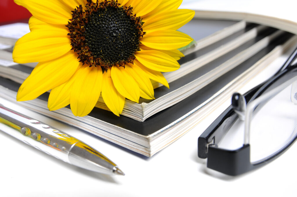 Mehrere Bücher, daneben eine Brille und ein silberner Kugelschreiber, über den Büchern eine Sonnenblume